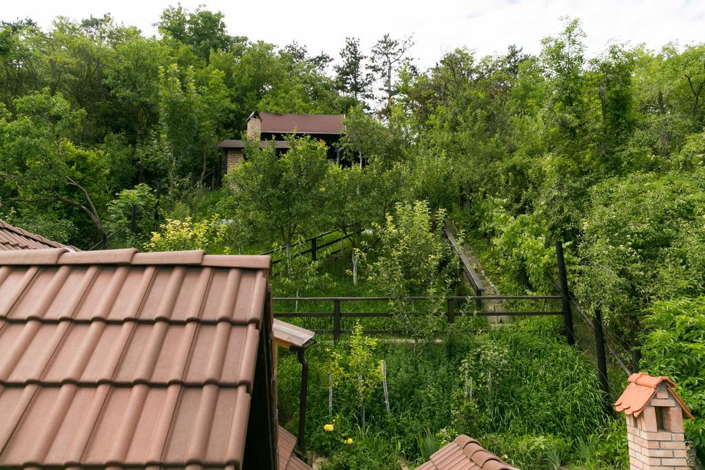 Casa Cu Cerdac Sighisoara Exterior photo